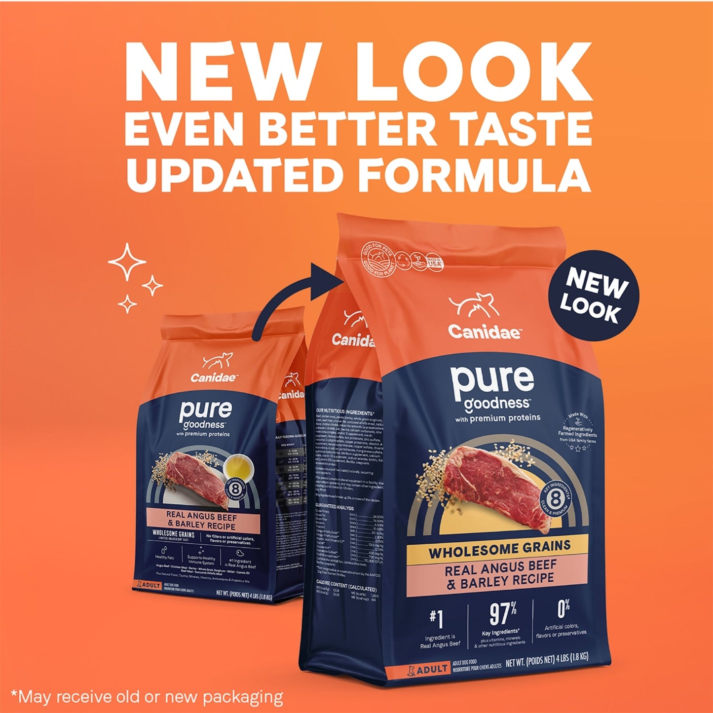 CANIDAE PURE Goodness w/Wholesome Grains Dry Dog Food Beef & Barley 4lb