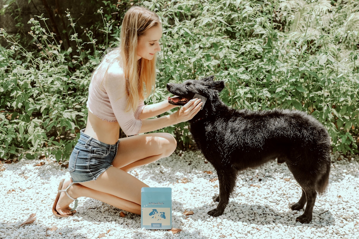 a woman kneeling down next to a black dog
