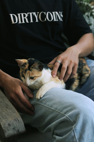 a person sitting on a bench petting a cat