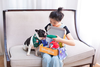 Girl and dog open a pawbox filled with toys.