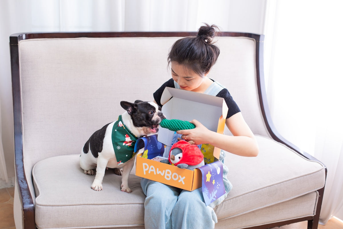 Girl and dog open a pawbox filled with toys.