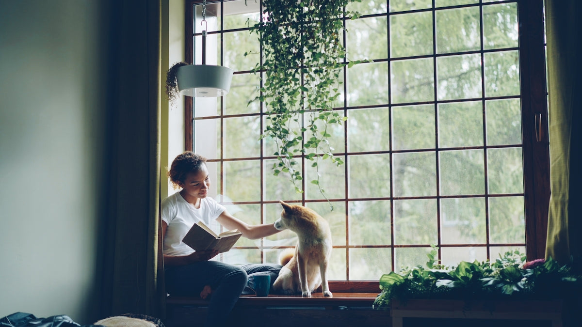 A woman reads with her dog by the window.