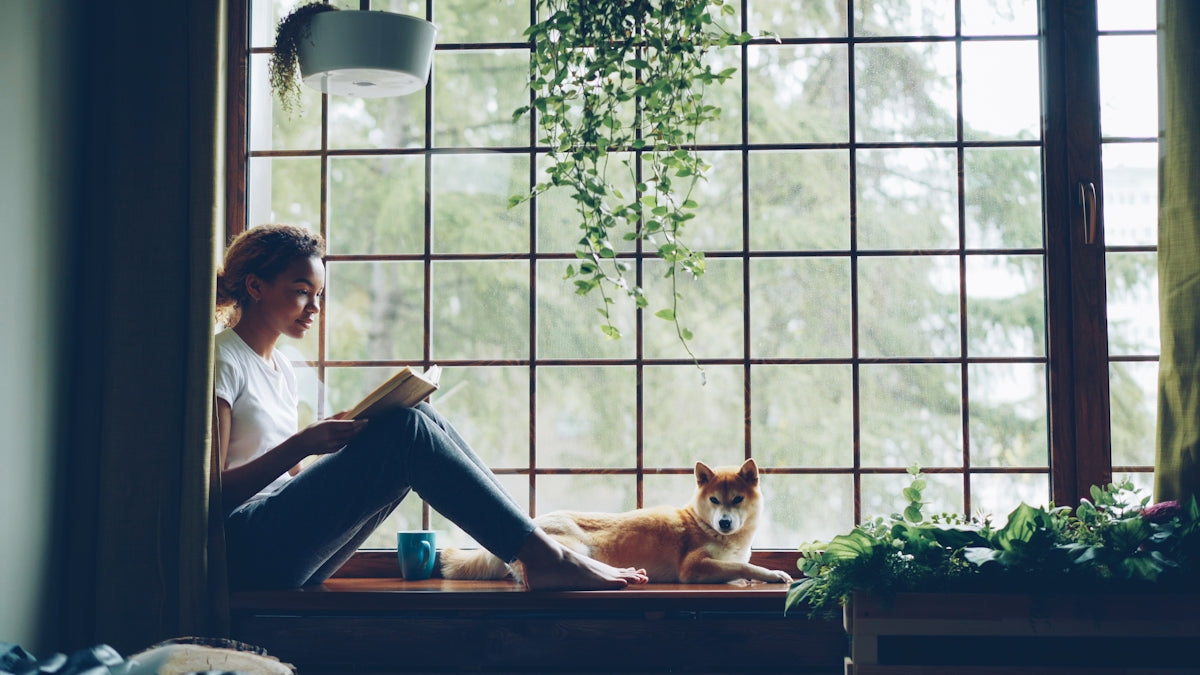 Woman reads with her dog by a window.