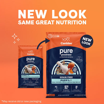 CANIDAE PURE Goodness Grain-Free LID Dry Puppy Food Real Chicken, Lentil & Whole Egg 22lb