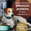 CANIDAE PURE Goodness w/Wholesome Grains Dry Dog Food Lamb & Brown Rice 22lb