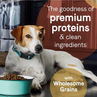 CANIDAE PURE Goodness w/Wholesome Grains Dry Dog Food Beef & Barley 4lb
