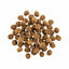 Go! Dog Carnivore Grain Free Salmon & COD 22Lb