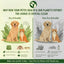 Eco Kit Dog Essentials