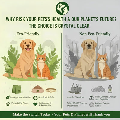 Eco Kit Cat Essentials